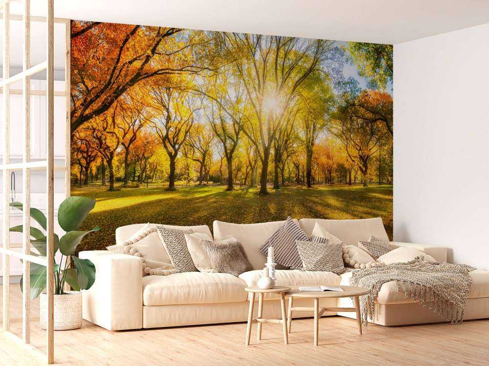 Colourful autumn forest