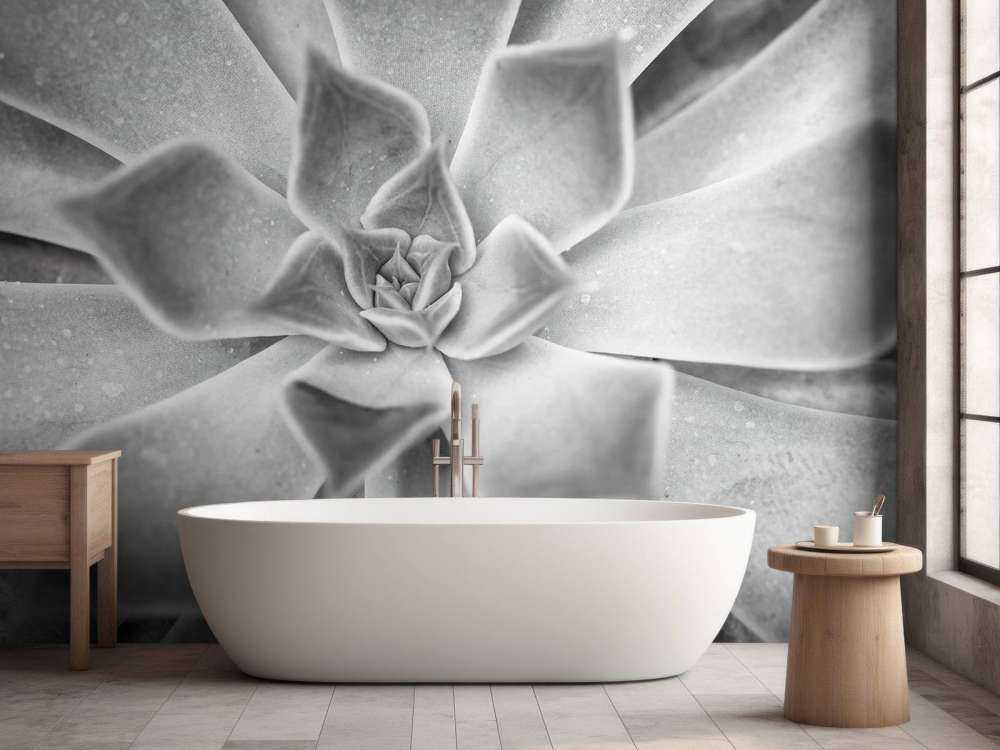 Succulent