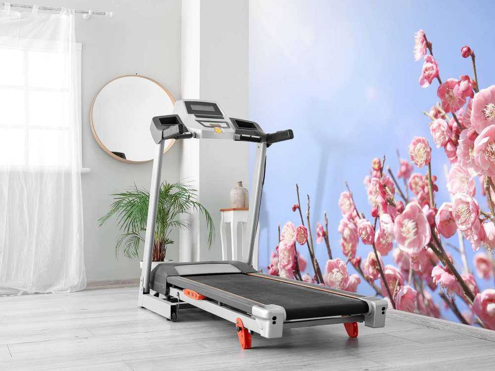 Blossoms with blue sky