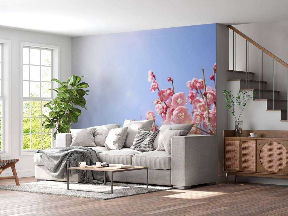 Blossoms with blue sky