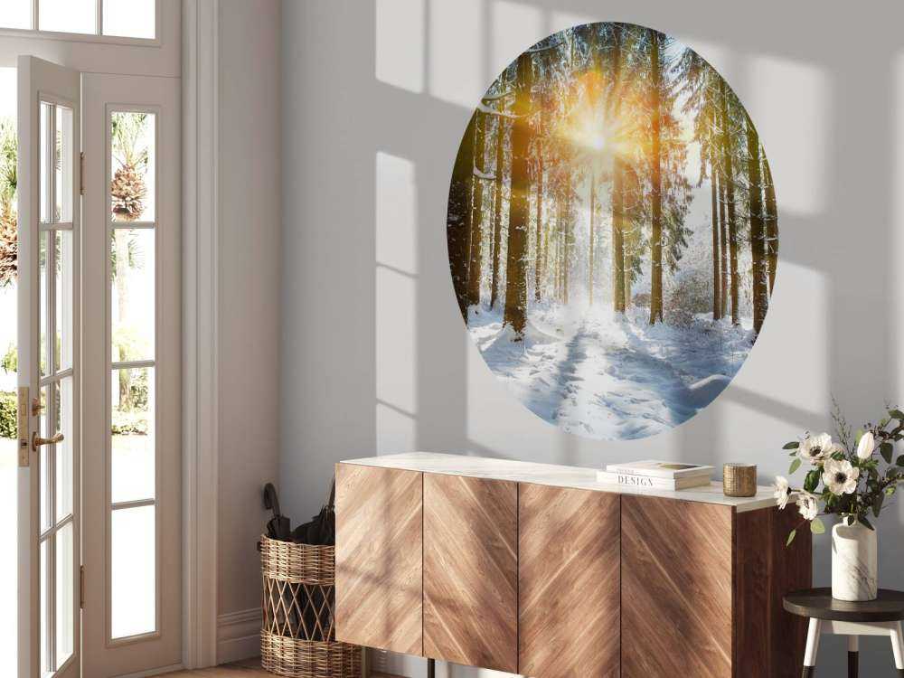 Sunlight in winter forest