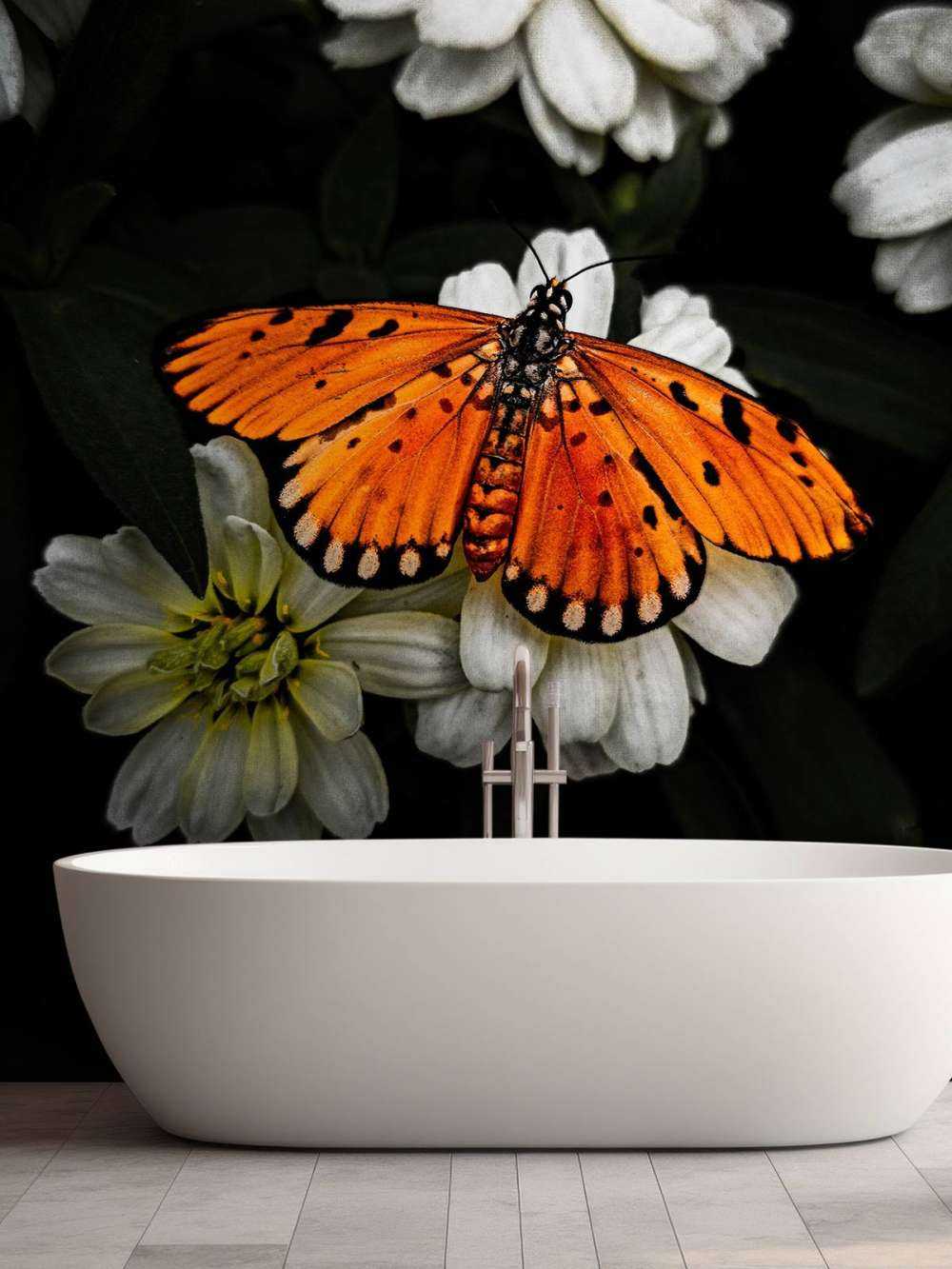 Monarch butterfly on a flower