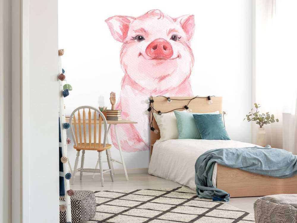 Cute piglet
