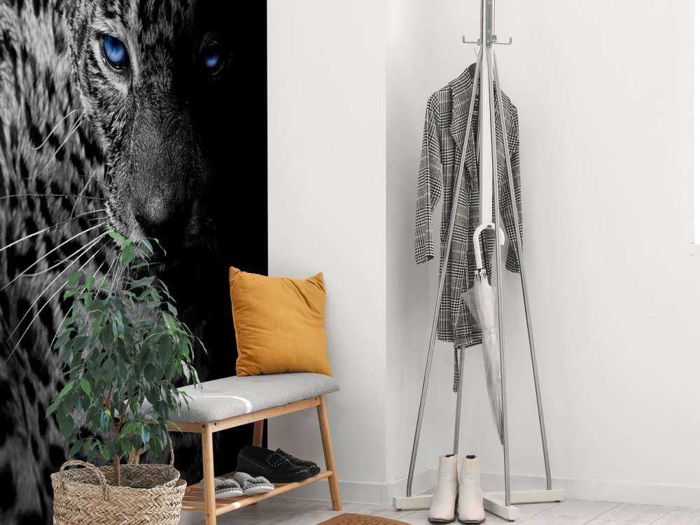 Leopard on black background