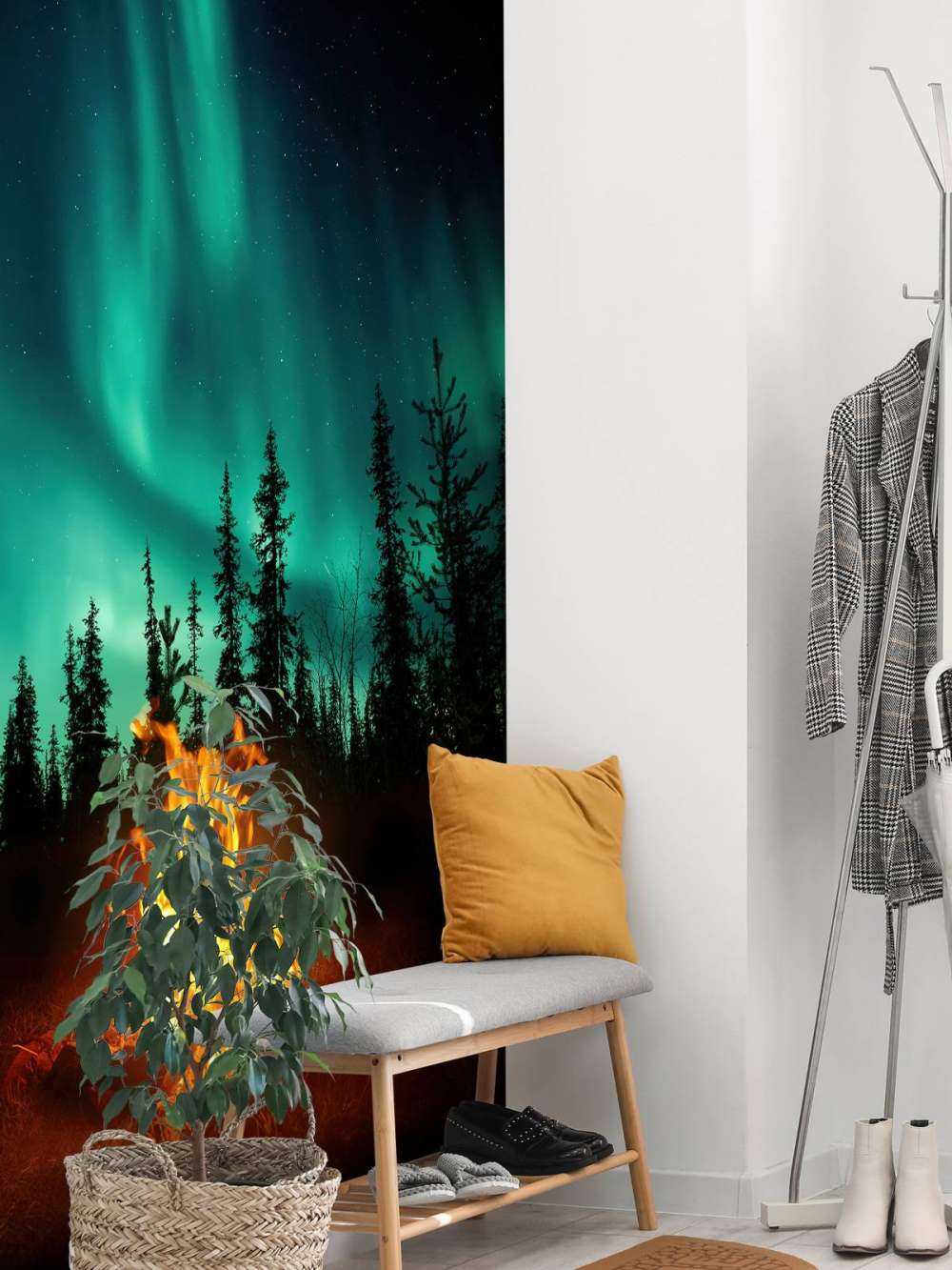 Campfire under the northern lights