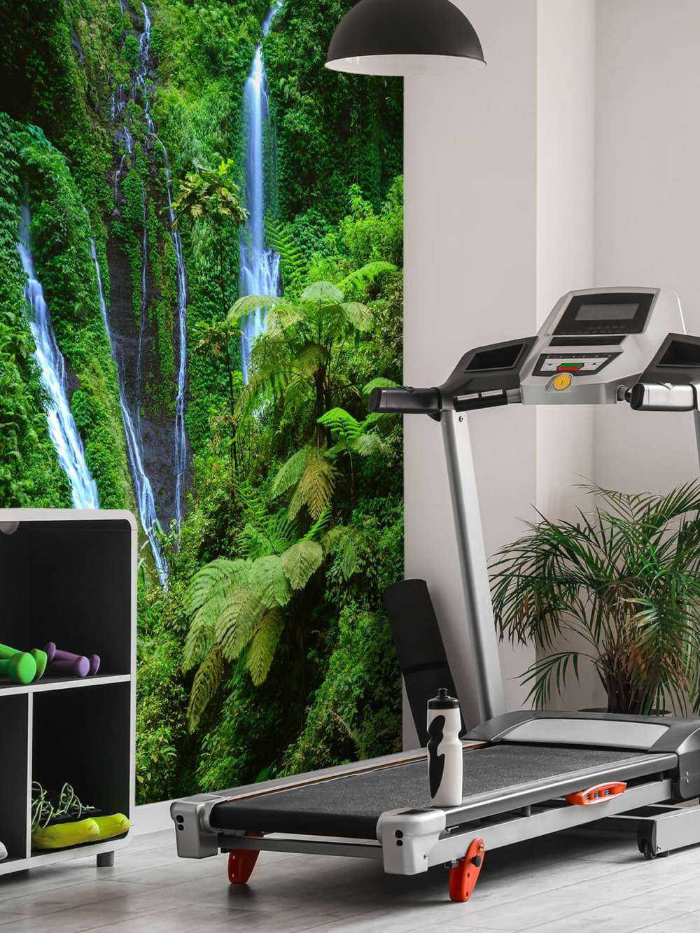 Green jungle and waterfalls