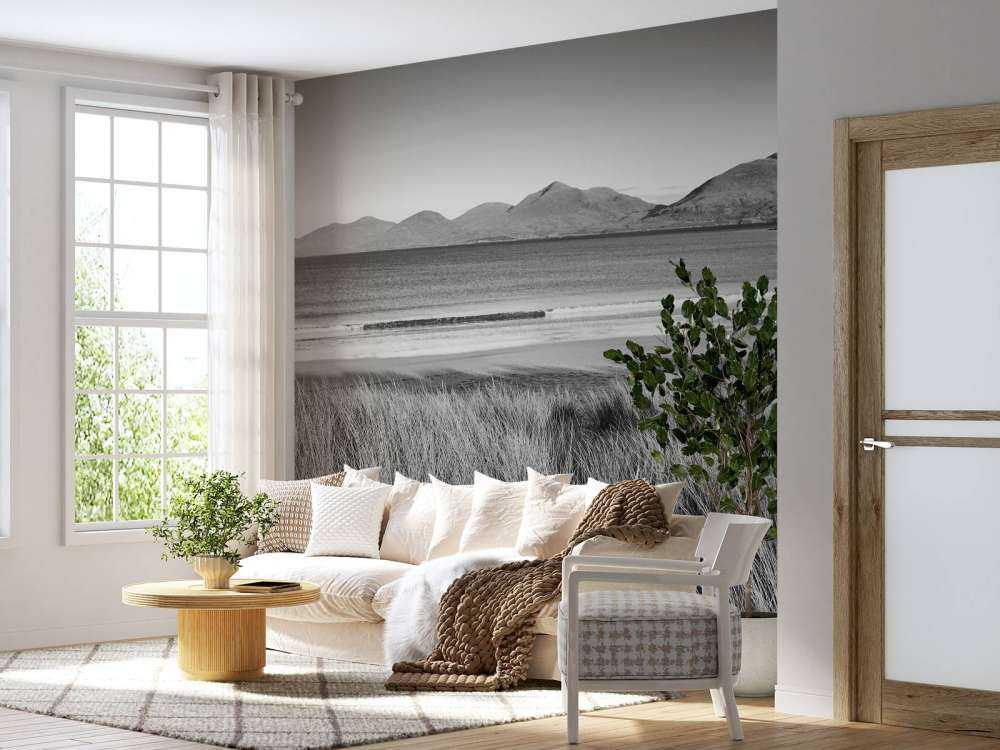 Marram grass, beach and mountains