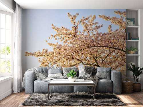 Blossom branch in bloom