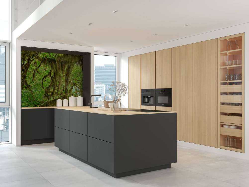 Moss on tree branches