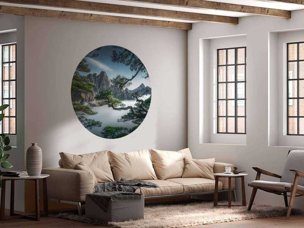 Strange pine tree in Yellow mountain