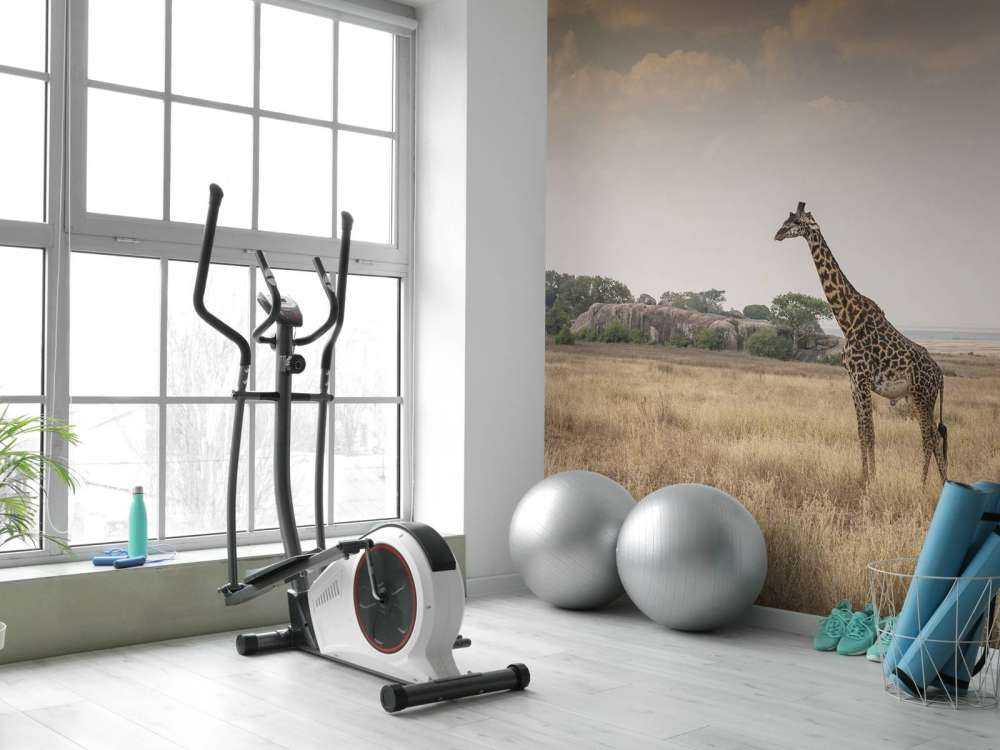Giraffe on a savannah