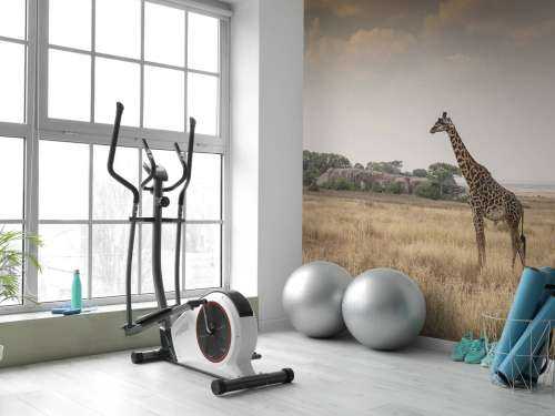 Giraffe on a savannah