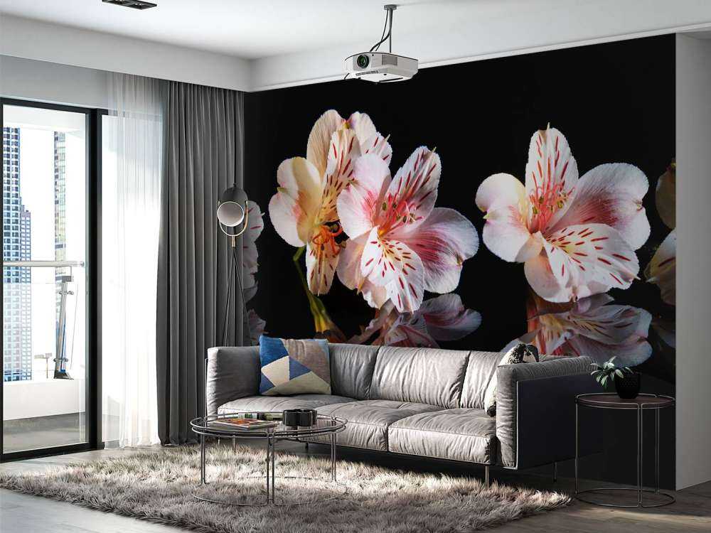 Alstroemeria flowers with reflection