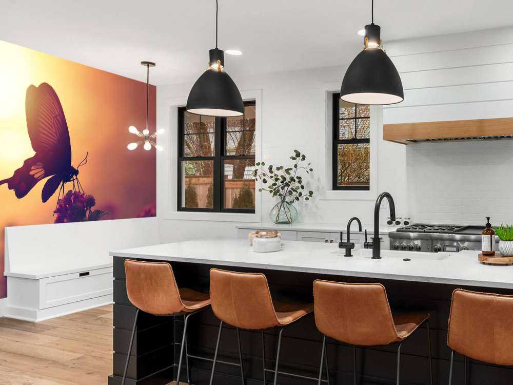 Butterfly with sunset