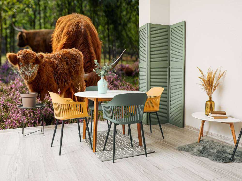 Family Scottish Highlanders