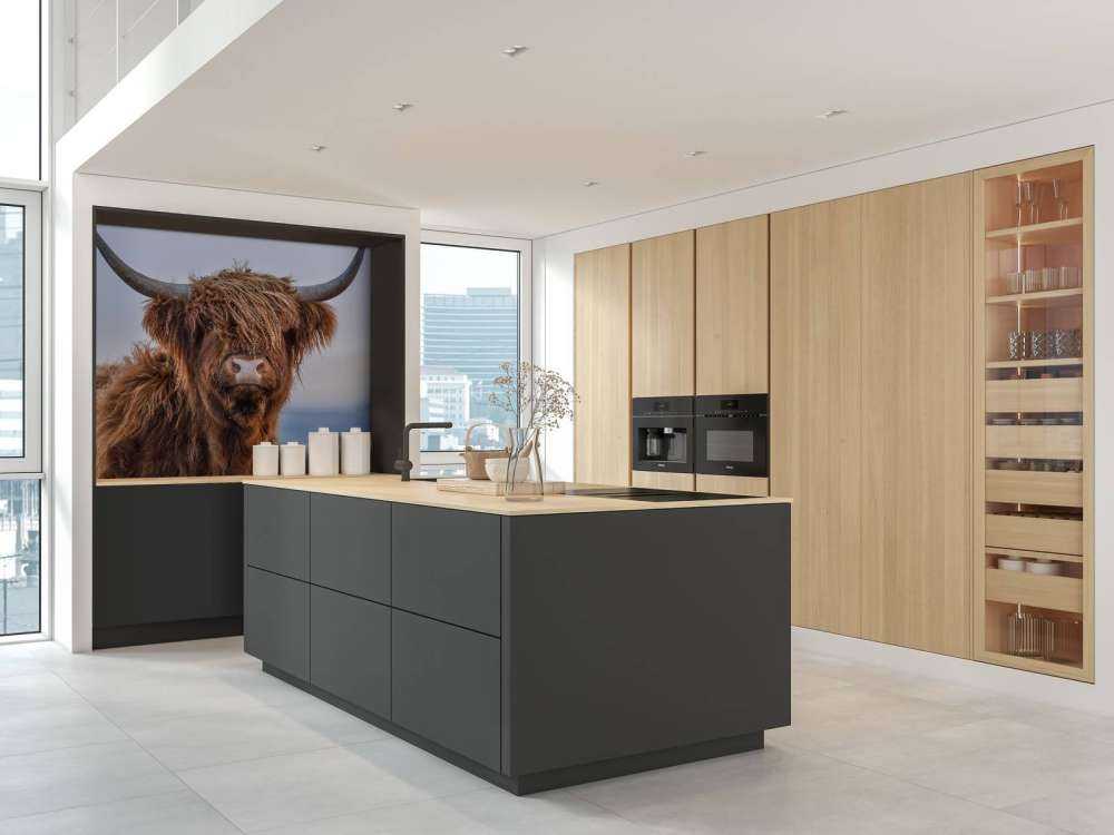 Staring Scottish Highlander