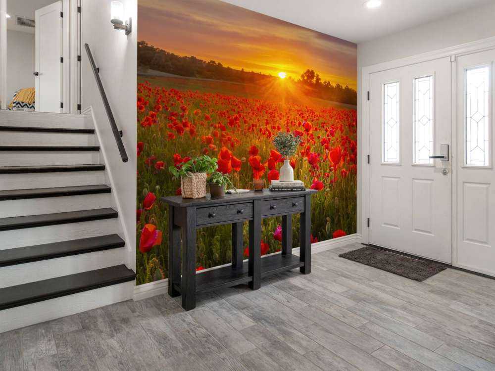 Flowering poppy field