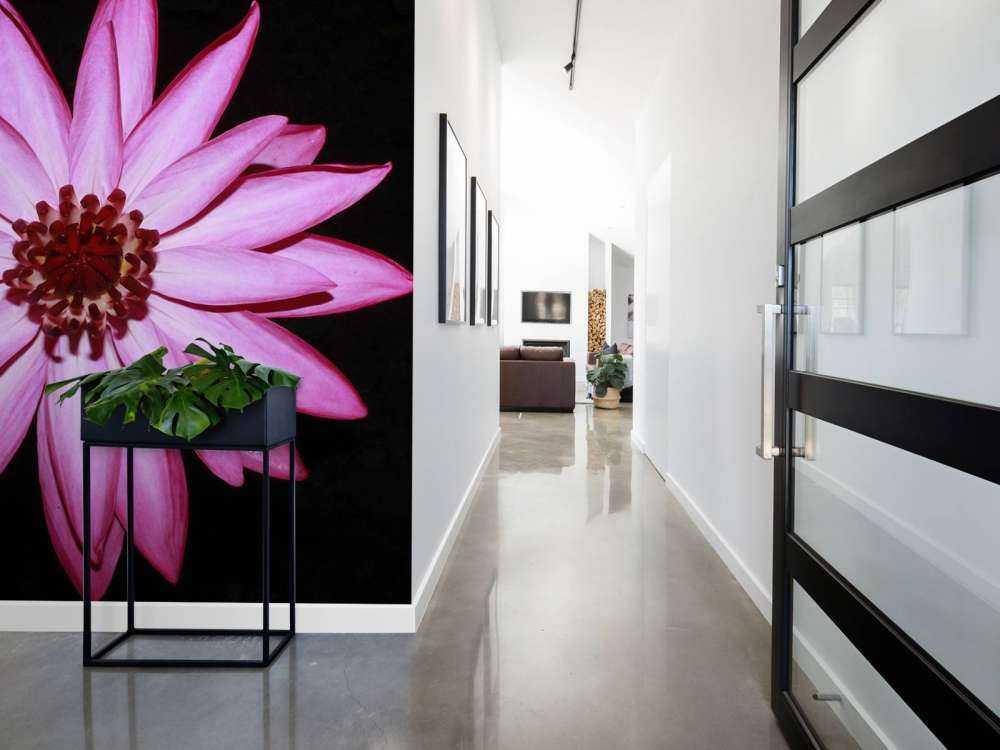 Lotus flower from above