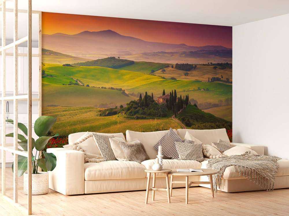 Red poppies with Italian landscape