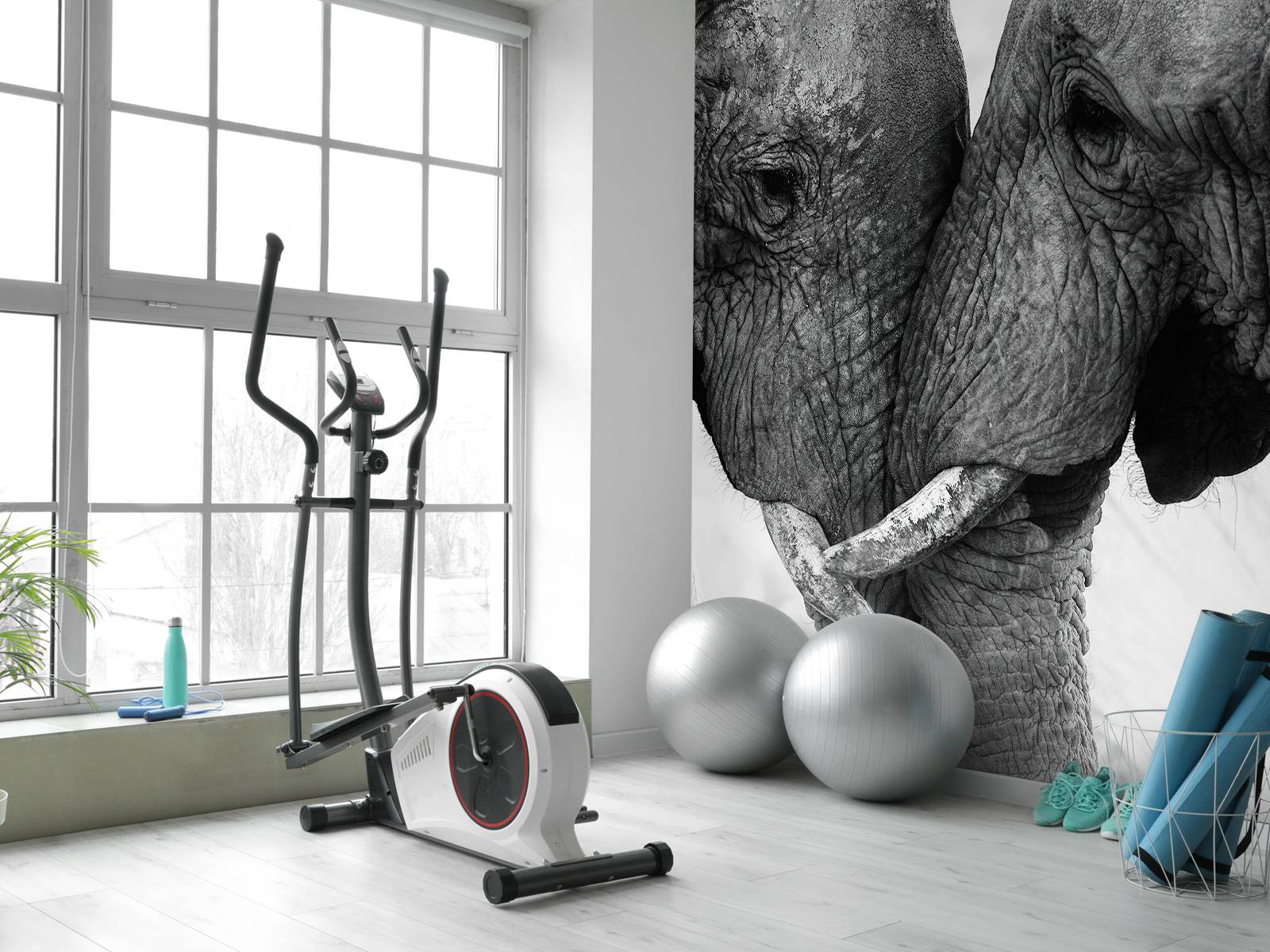 Photo wallpaper elephants