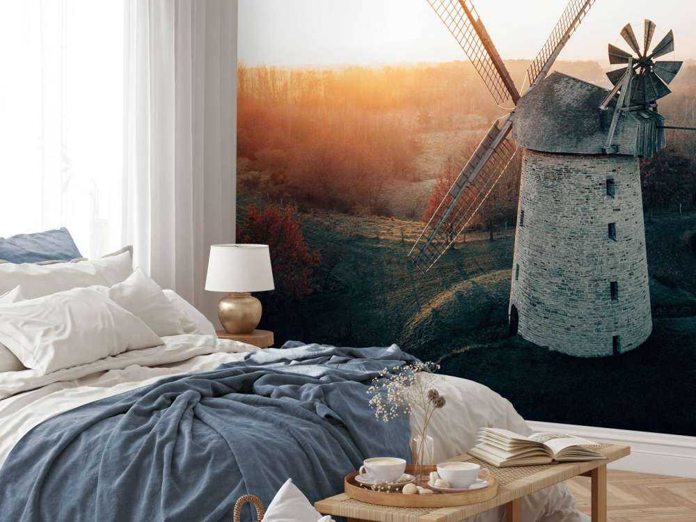 Windmill in beautiful light at sunset