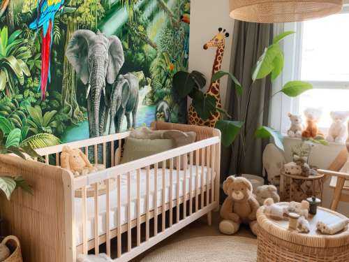 Jungle