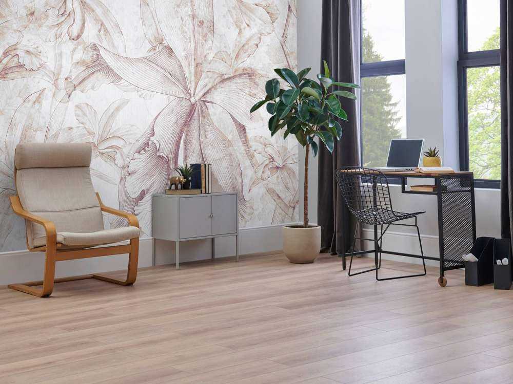 Orchids Contour 8