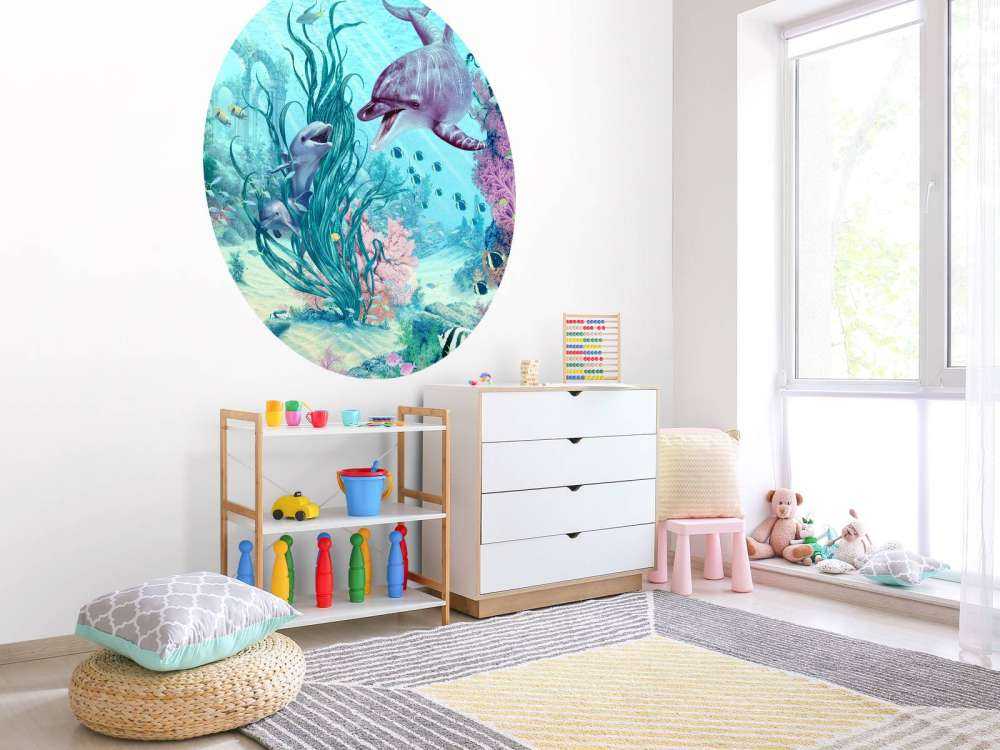 Hide And Seek Dolphins