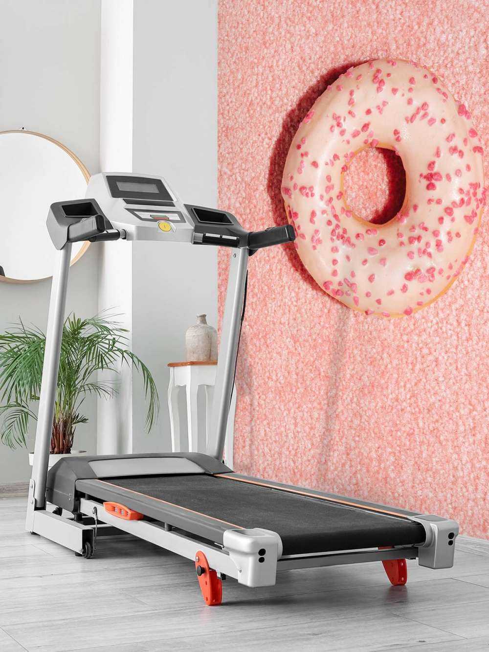 Pink Doughnut