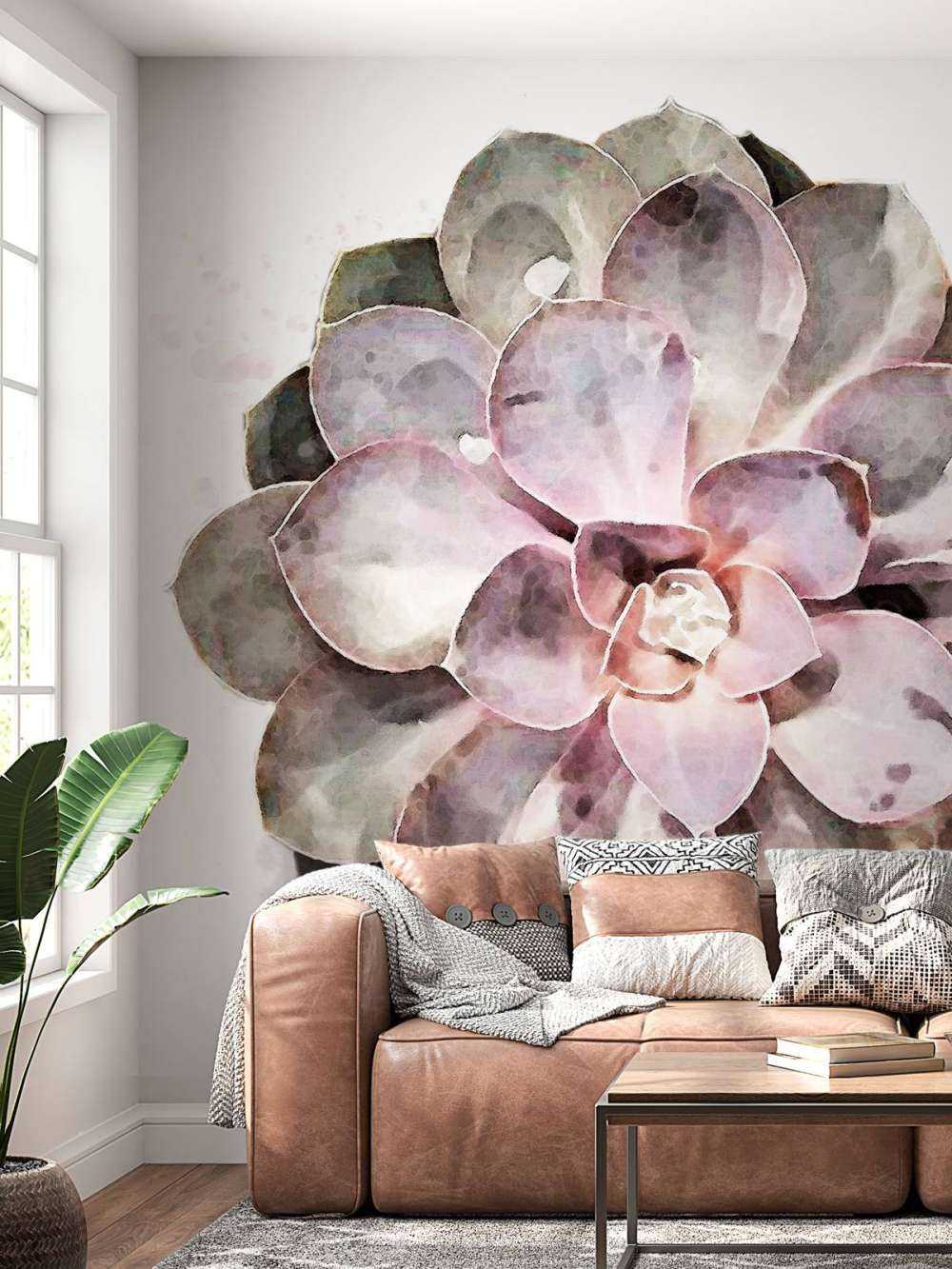 Succulent 01