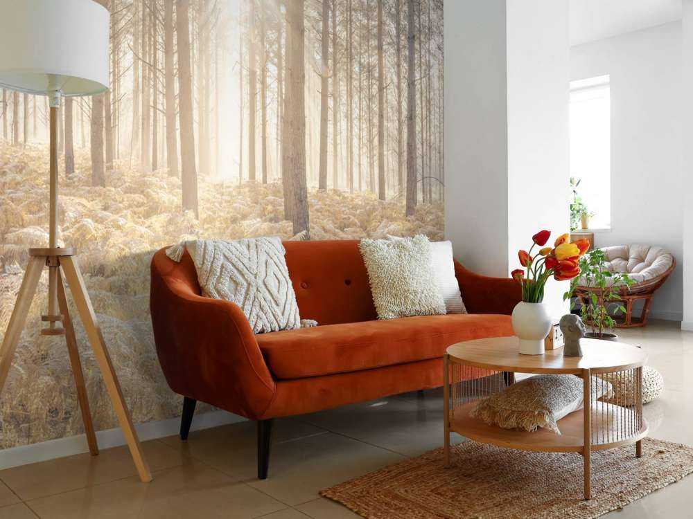 Sun rays in the cold forest