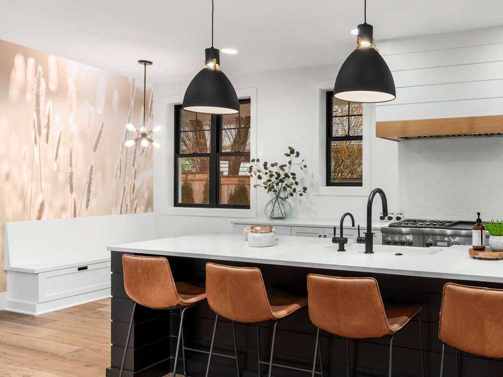 Sunlight through meadow