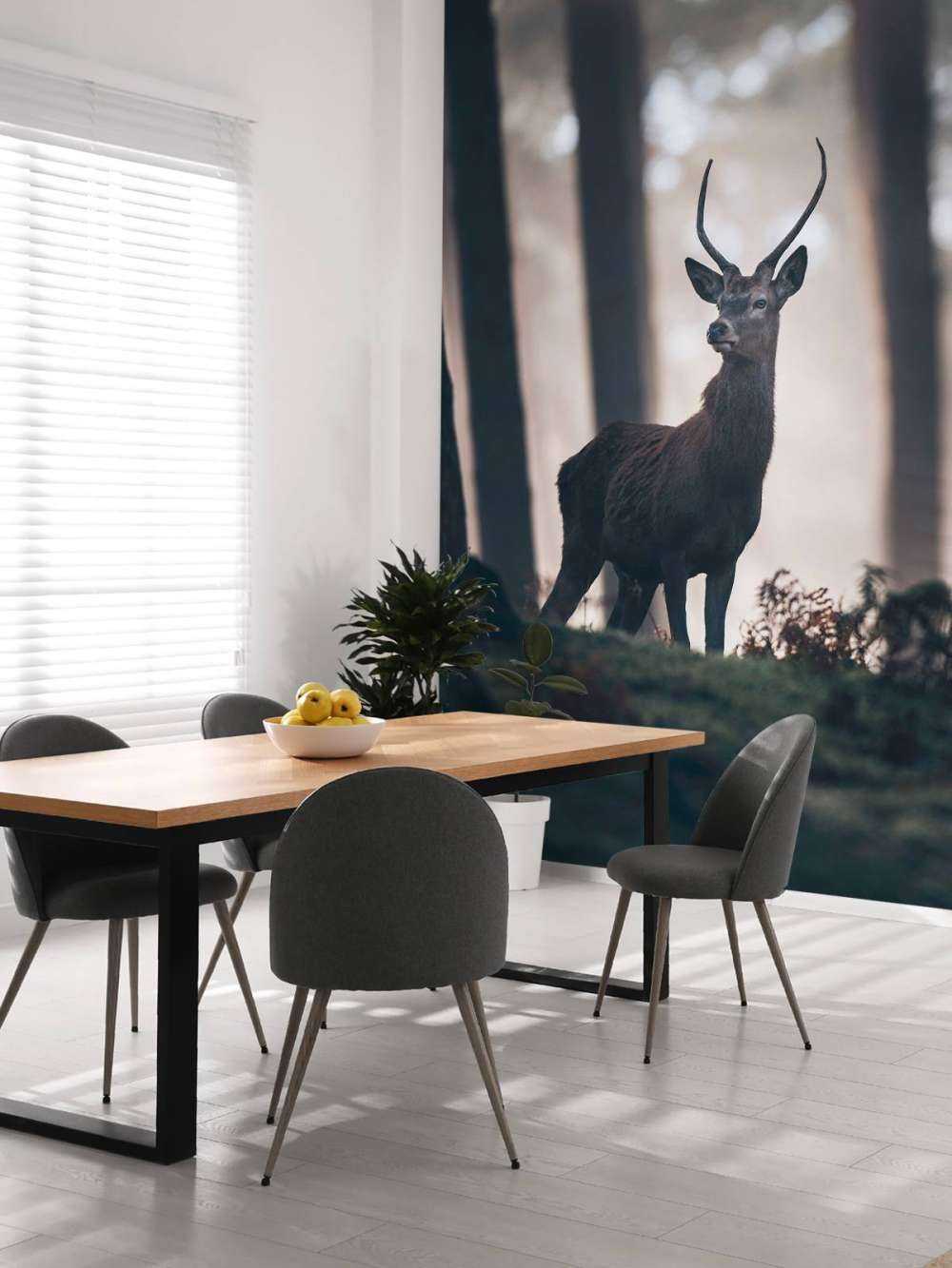 Stag near trees