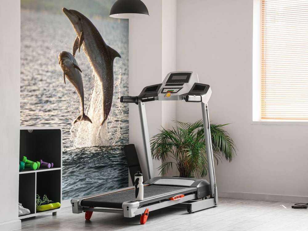 Two jumping dolphins