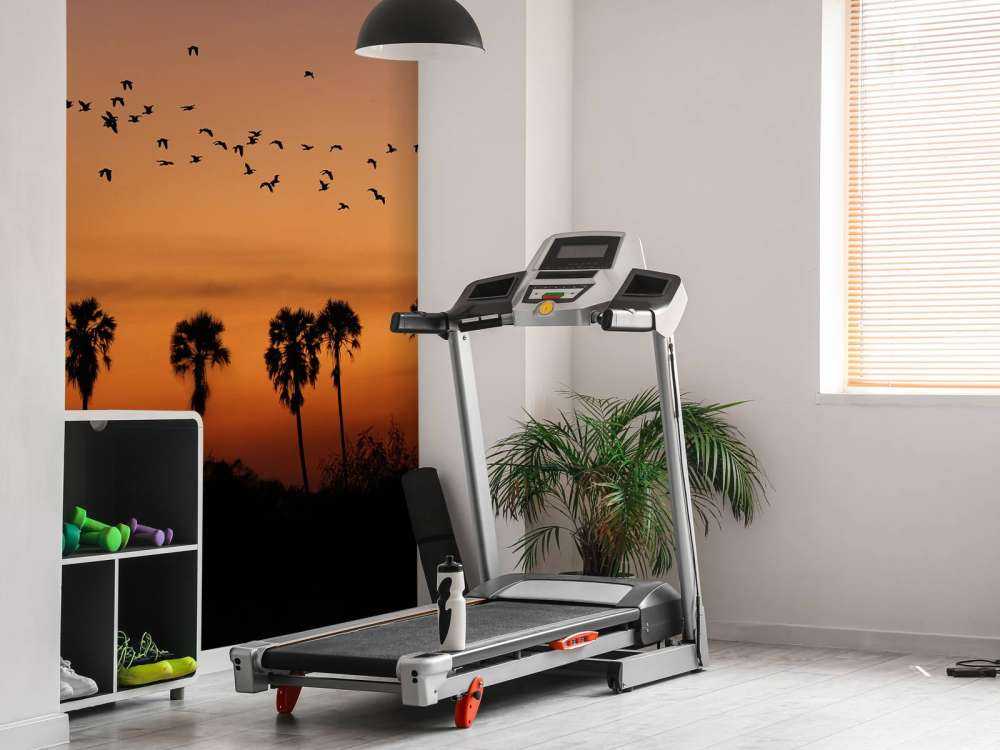 Palm trees with group of birds