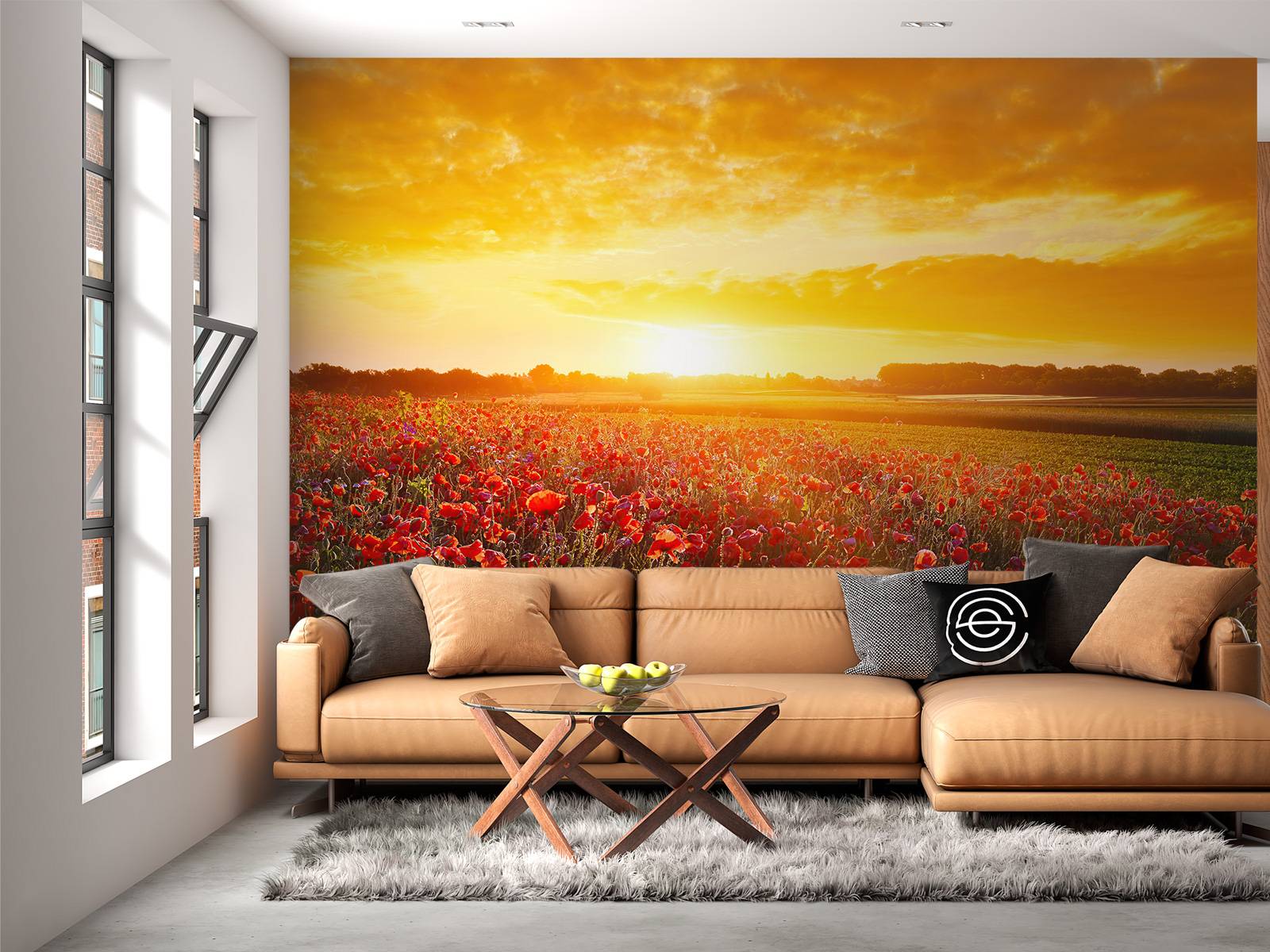 Poppies and Sunset