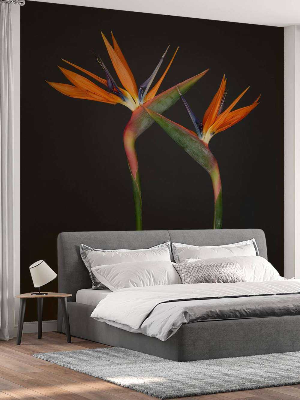 Oranje paradijsvogel bloemen