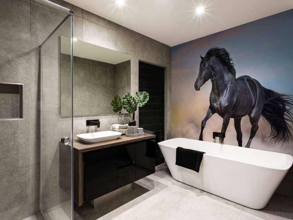 Mooi Zwart Paard in Zand