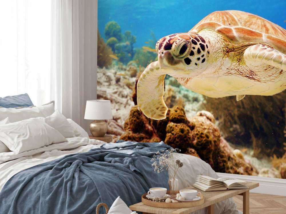 Groene zeeschildpad aan het zwemmen