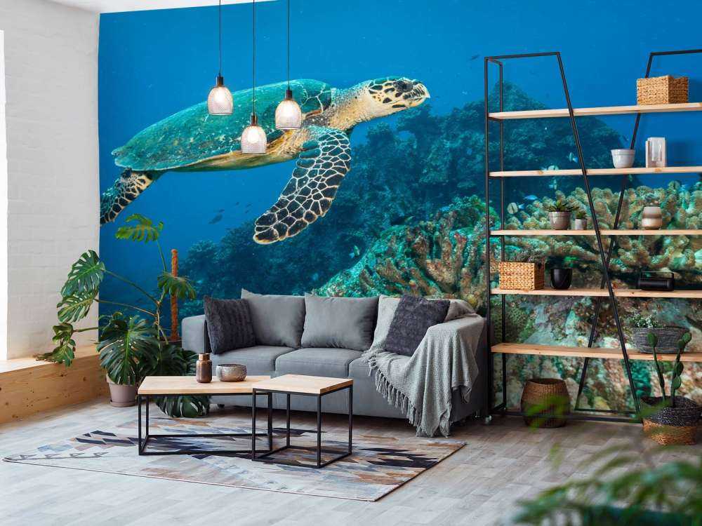 Karetschildpad bij een koraalrif