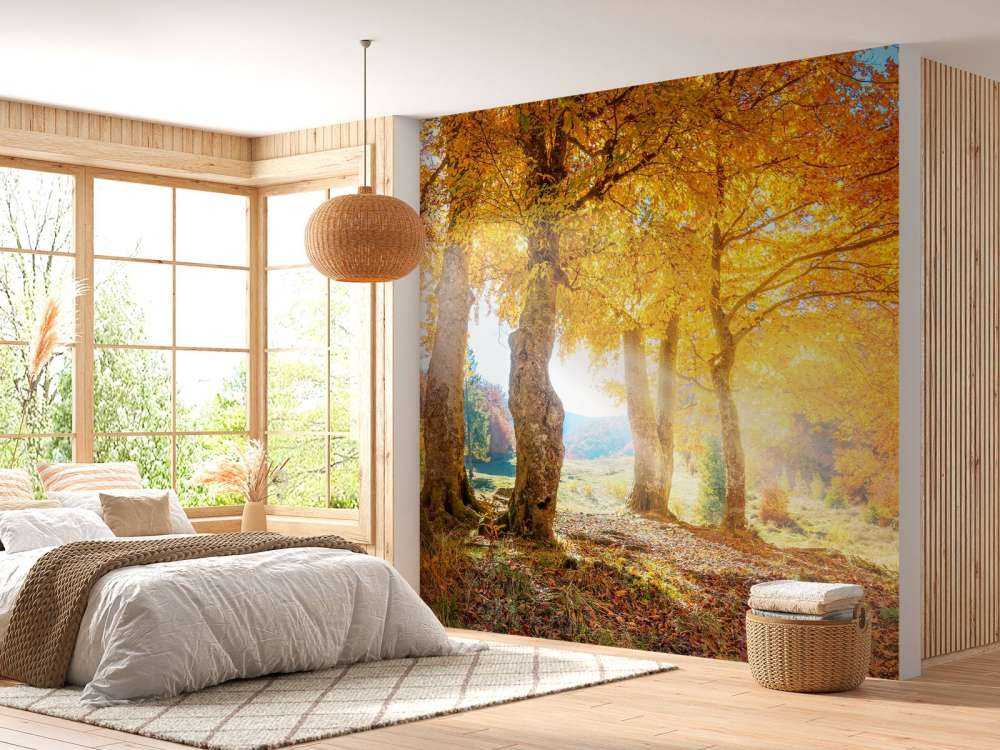 Warm autumn landscape