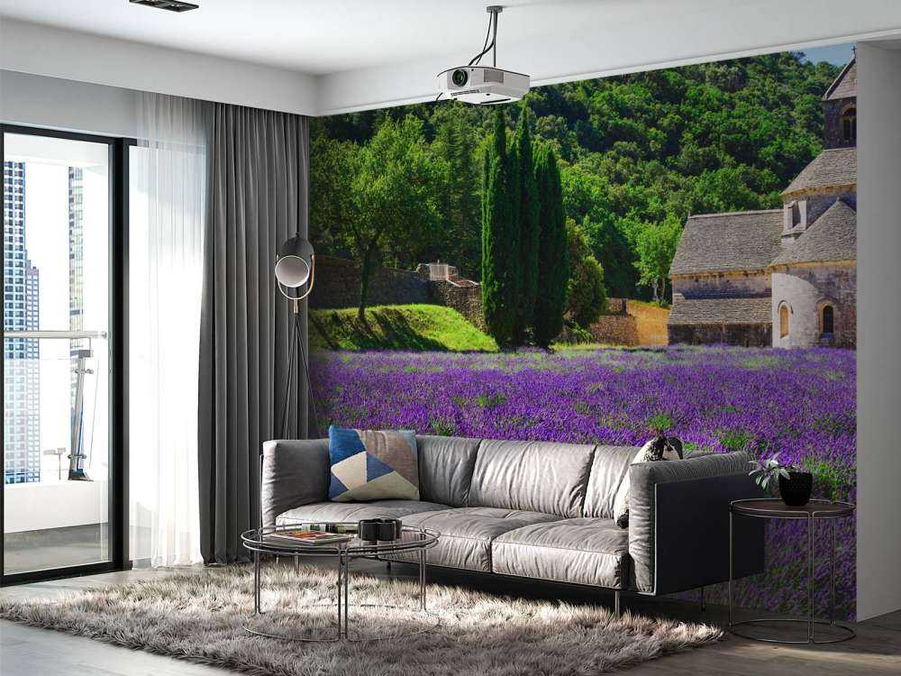 Fairy lavender field