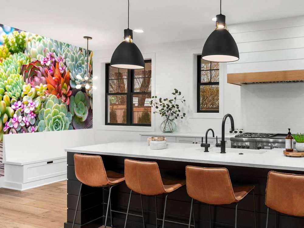 Verschillende vetplanten