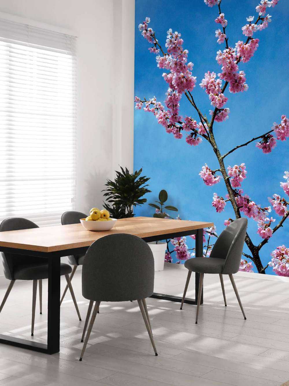 Japanse roze bloesems