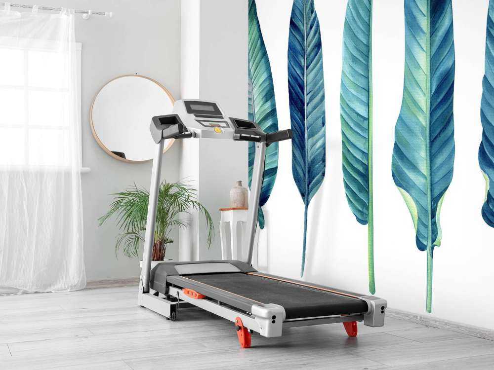 Tropical leaves on white background