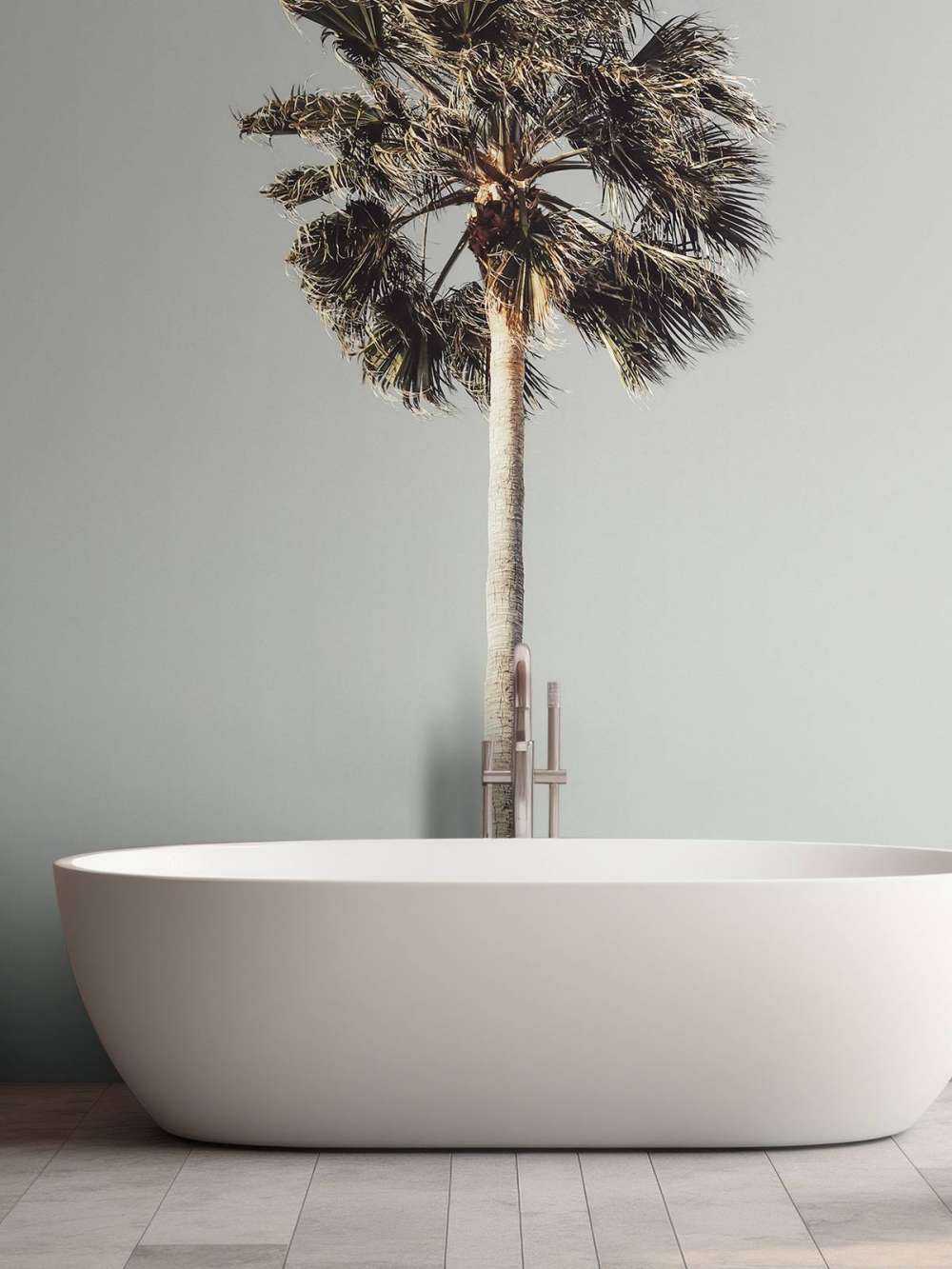 Windy Palm 