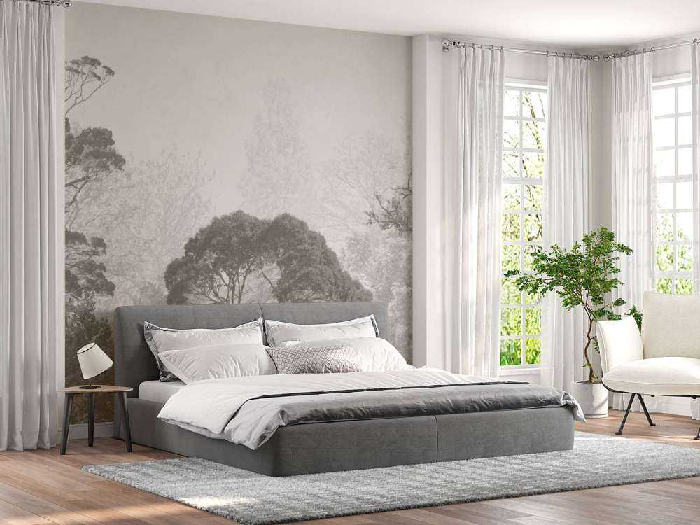 Forest landscape