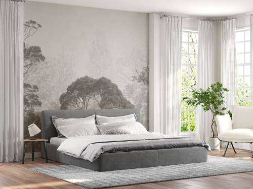 Forest landscape
