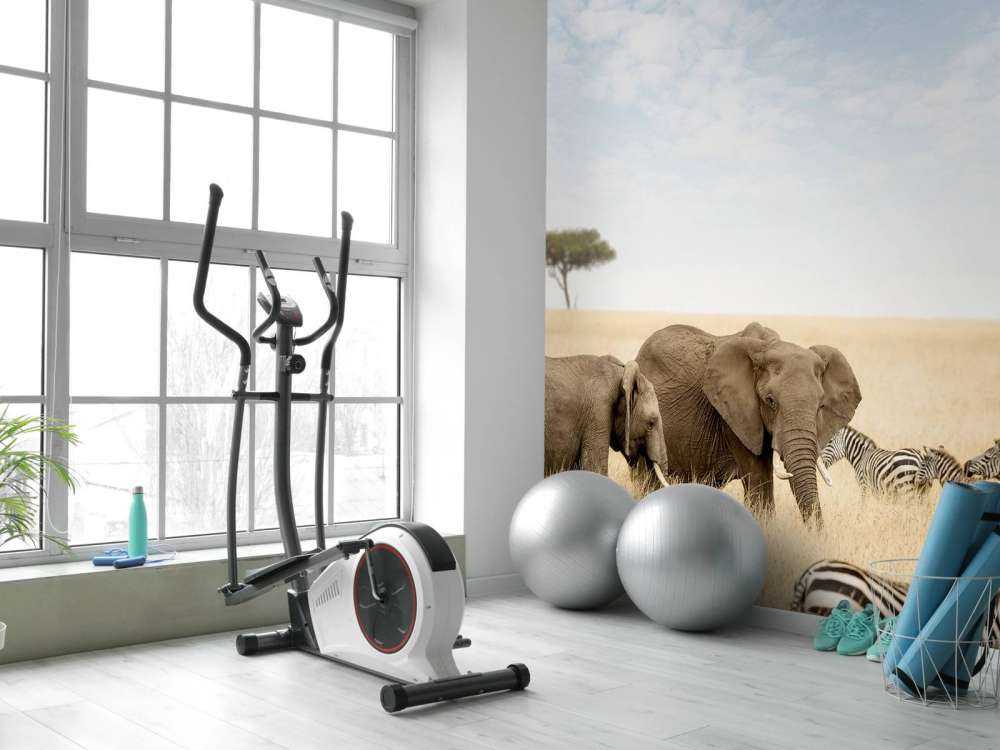 Olifanten en zebra's