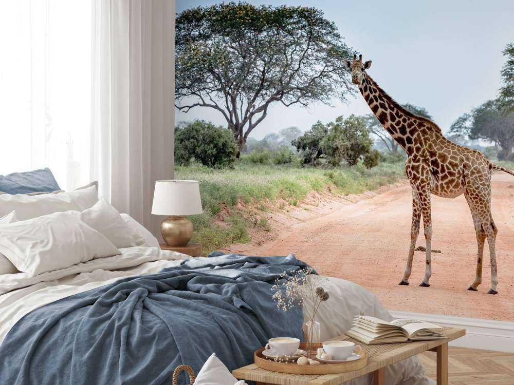 Verbaasde giraffe